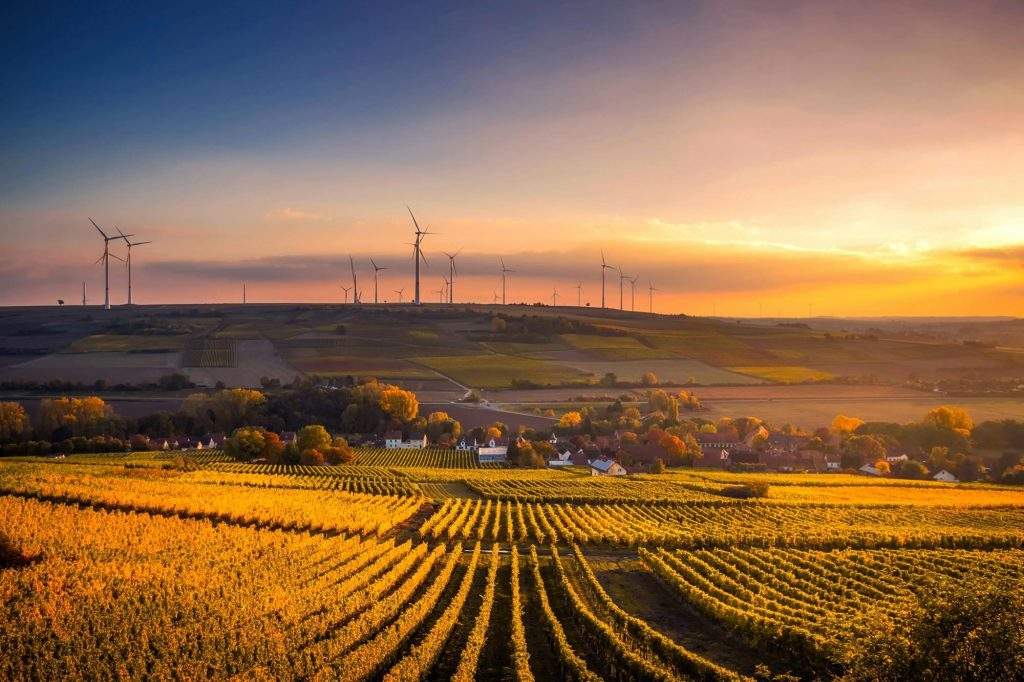 Imagen de una puesta de sol en un campo.