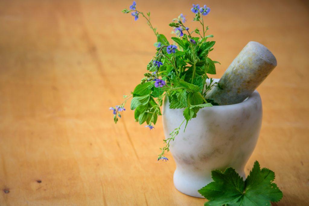 Una imagen de un mortero con plantas medicinales, usadas como remedio casero para bajar la fiebre en casa