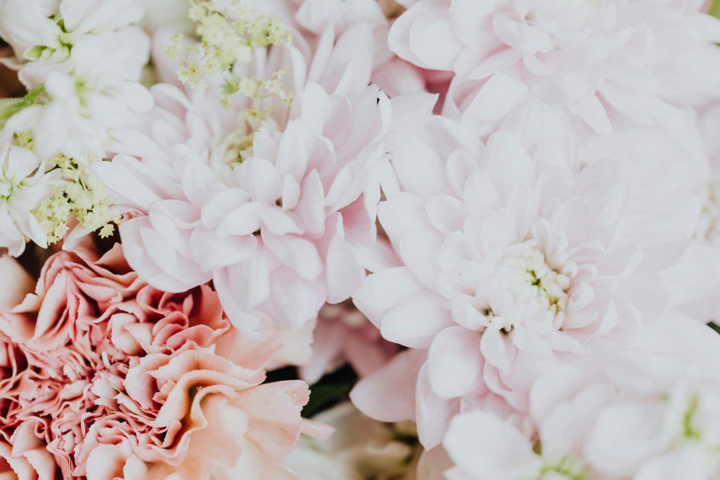 Flores rosas que fueron usadas como regalo para las amigas de la novia
