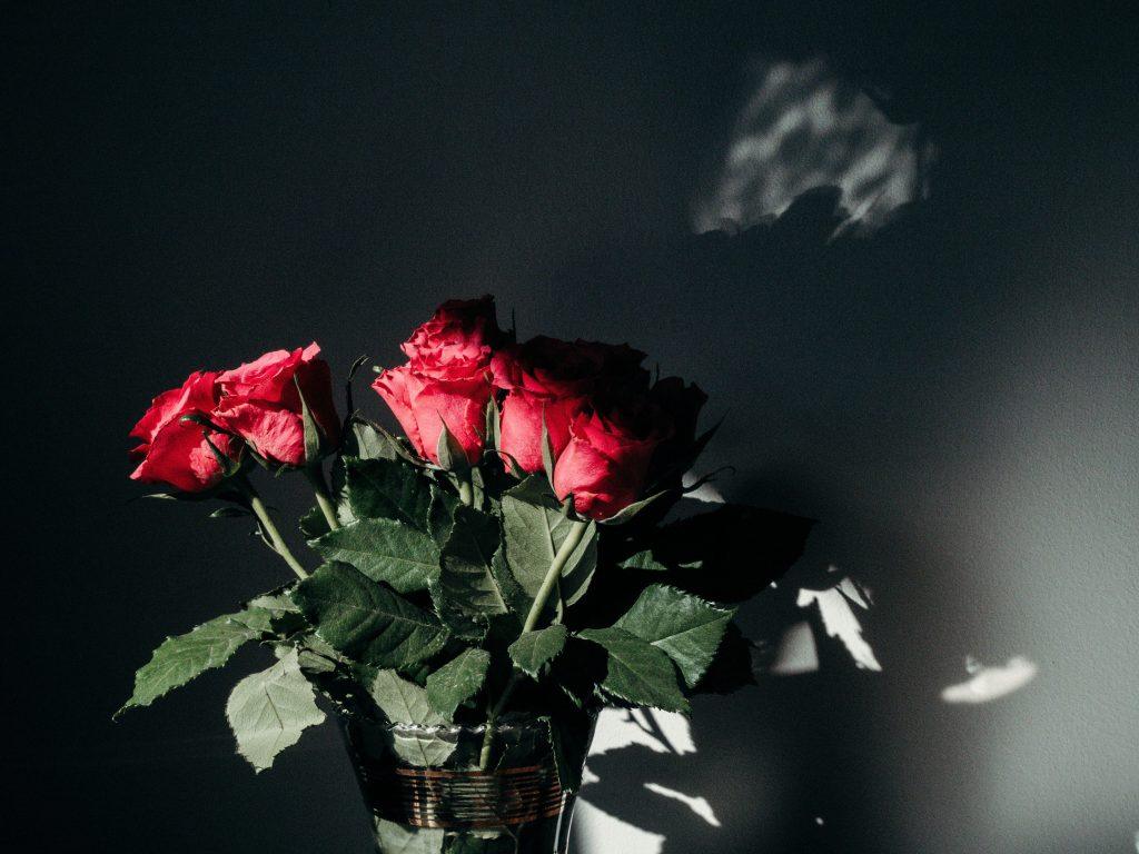 cinco rosas que han sido utilizadas como regalo para un aniversario